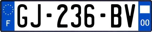 GJ-236-BV