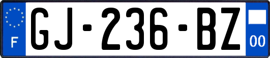 GJ-236-BZ