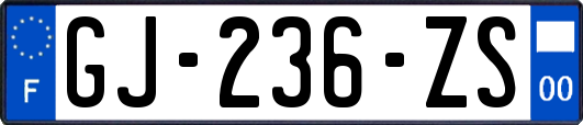 GJ-236-ZS