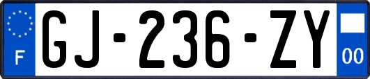 GJ-236-ZY