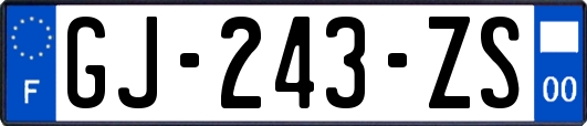GJ-243-ZS