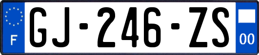 GJ-246-ZS