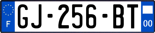 GJ-256-BT