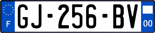 GJ-256-BV