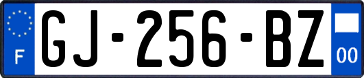 GJ-256-BZ