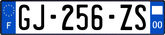GJ-256-ZS