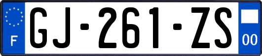 GJ-261-ZS