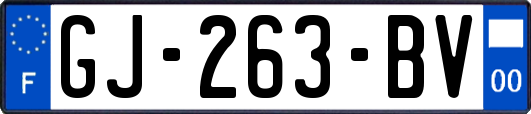 GJ-263-BV