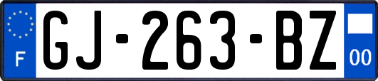 GJ-263-BZ