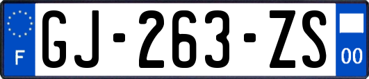 GJ-263-ZS
