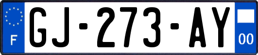 GJ-273-AY