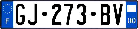 GJ-273-BV