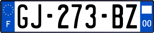 GJ-273-BZ