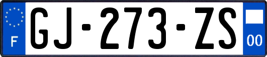 GJ-273-ZS