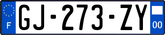 GJ-273-ZY