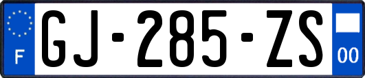 GJ-285-ZS