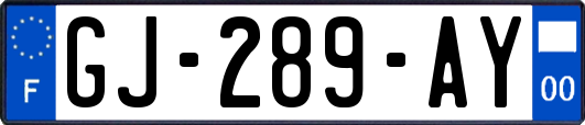 GJ-289-AY