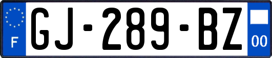 GJ-289-BZ