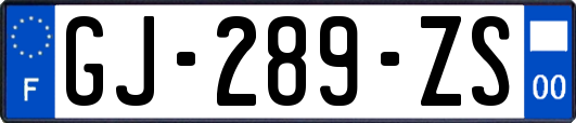 GJ-289-ZS