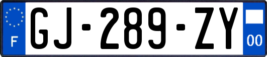 GJ-289-ZY