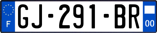 GJ-291-BR