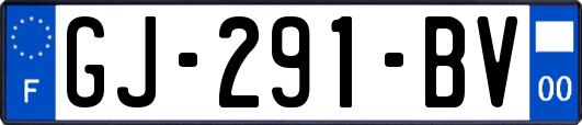 GJ-291-BV