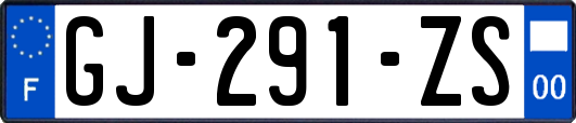 GJ-291-ZS