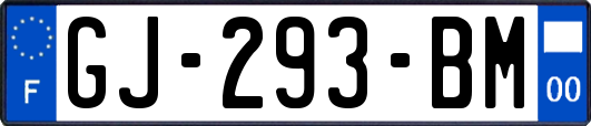 GJ-293-BM