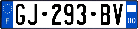 GJ-293-BV