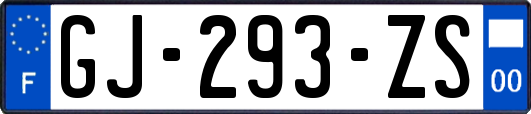 GJ-293-ZS