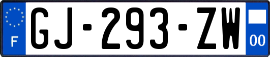 GJ-293-ZW