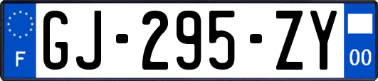 GJ-295-ZY
