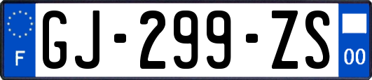 GJ-299-ZS