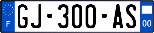 GJ-300-AS