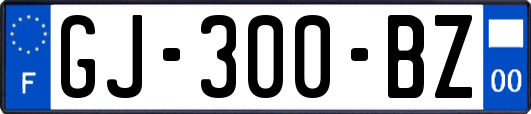 GJ-300-BZ