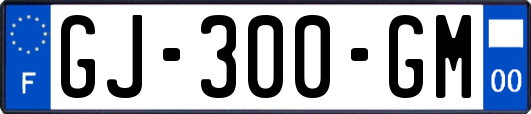 GJ-300-GM