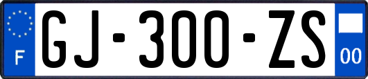 GJ-300-ZS