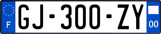 GJ-300-ZY