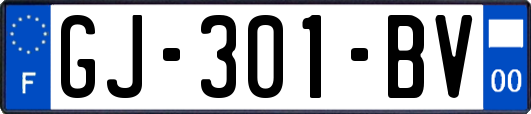 GJ-301-BV