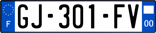 GJ-301-FV