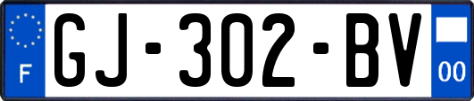 GJ-302-BV