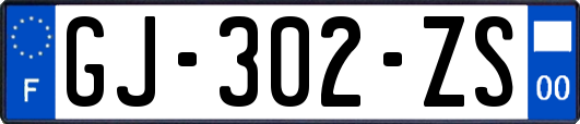 GJ-302-ZS