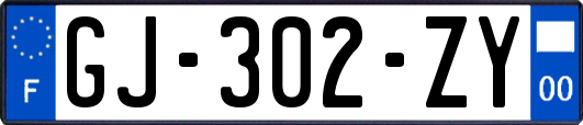 GJ-302-ZY