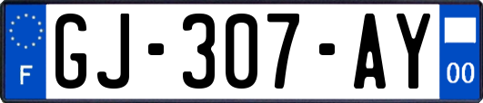 GJ-307-AY