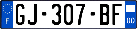 GJ-307-BF