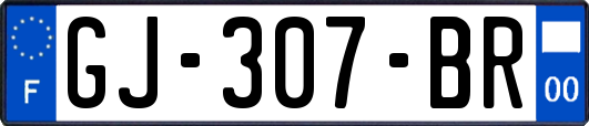 GJ-307-BR