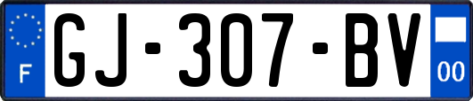 GJ-307-BV