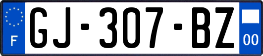 GJ-307-BZ