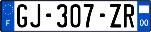 GJ-307-ZR