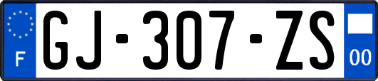 GJ-307-ZS